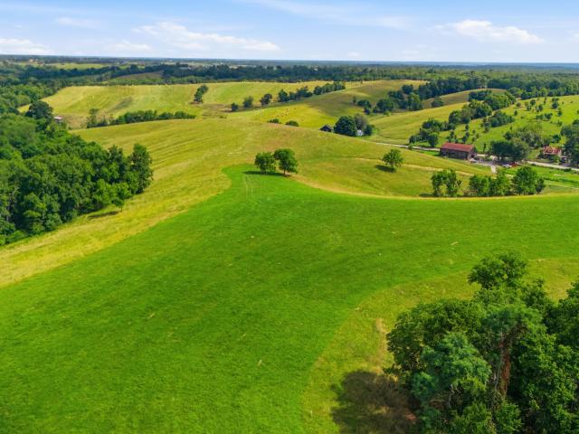 Land for sale in Carlisle, Kentucky