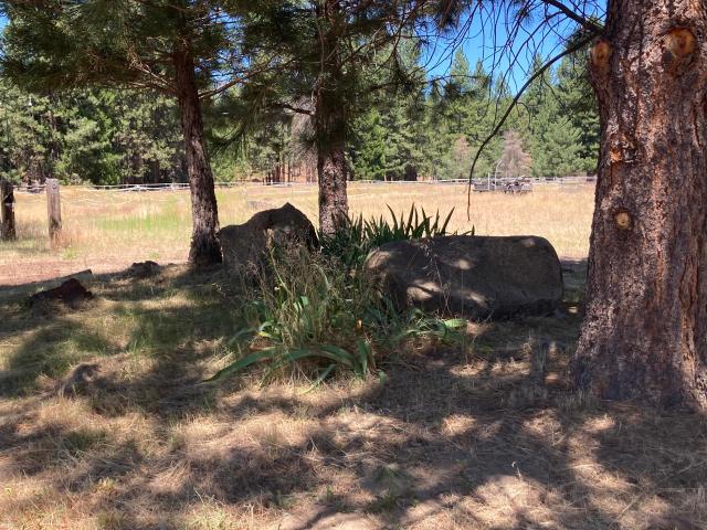 House for sale in Shasta, California