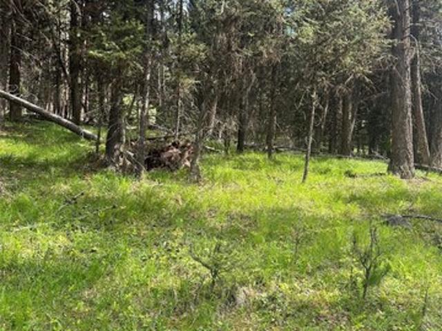 Land for sale in Seeley Lake, Montana