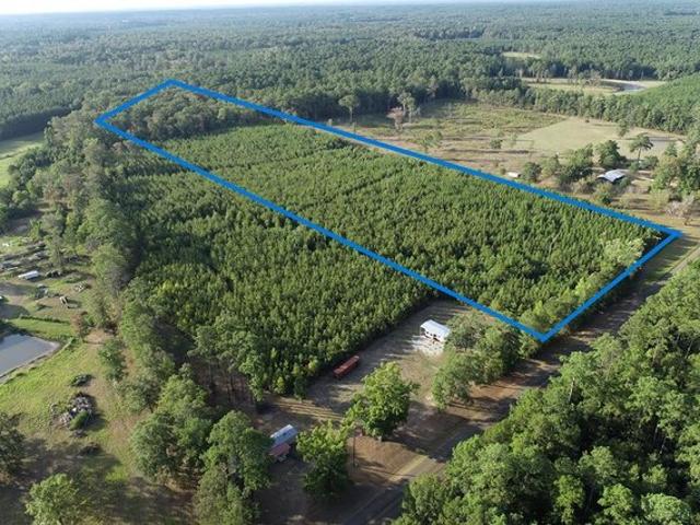 Land for sale in Sabine, Texas