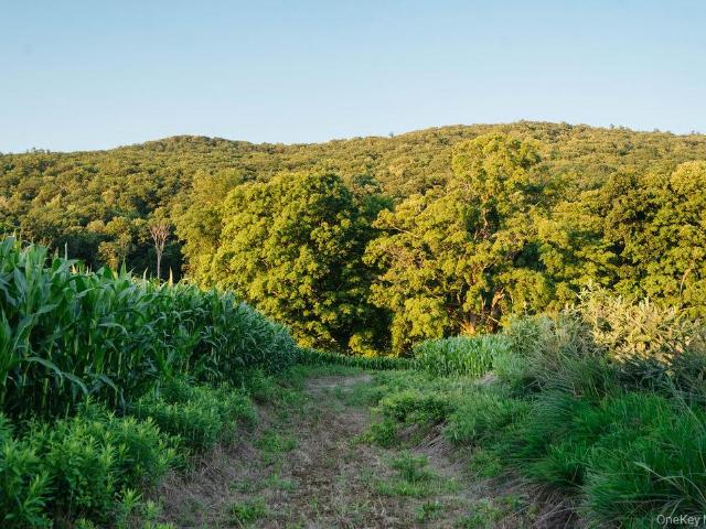 Land for sale in Ancram, New York