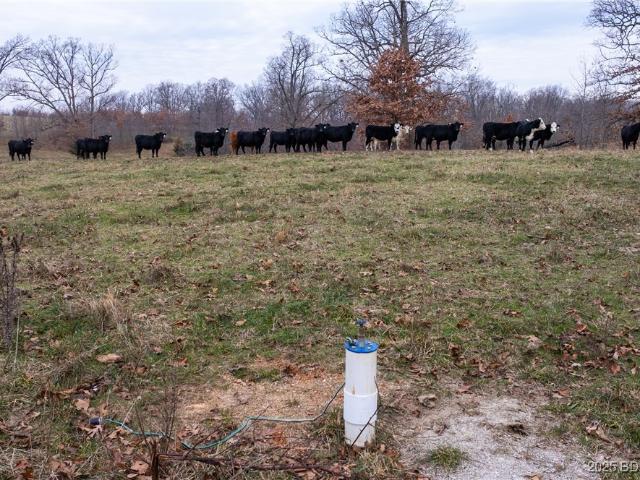 Farm for sale in Missouri