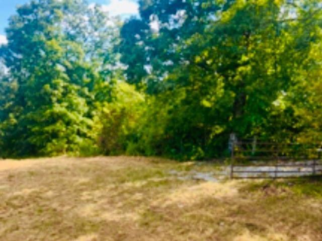 Land for sale in Ark