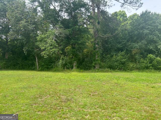 Land for sale in Cochran, Georgia