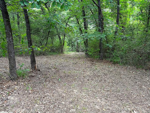 Land for sale in Leon, Texas