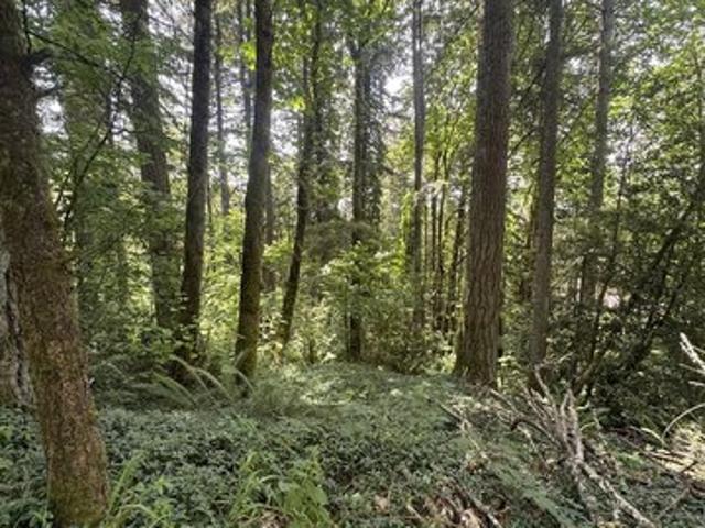 Land for sale in Gresham Butte, Gresham