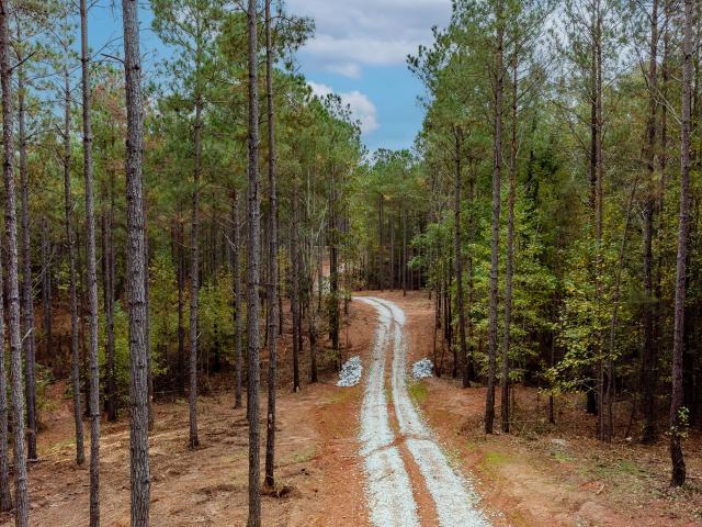Land for sale in White Plains, Georgia
