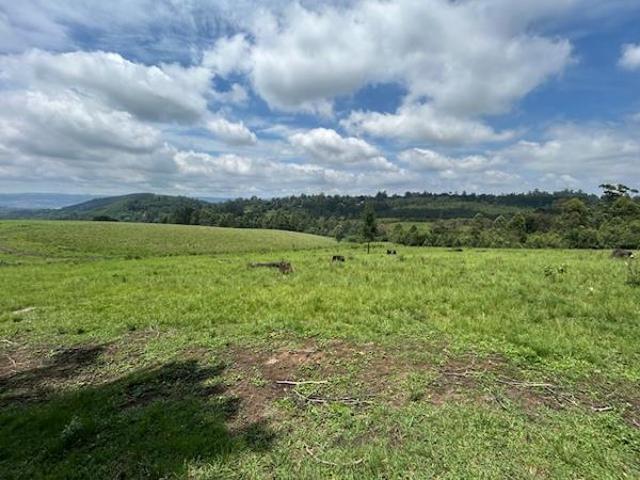 Land for sale in Kwazulu-natal