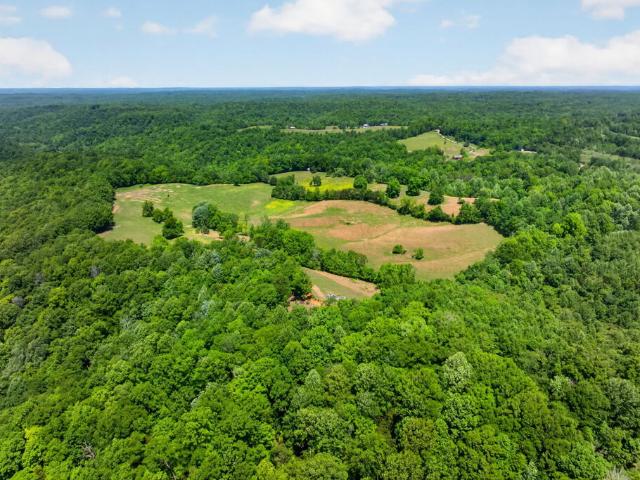 Land for sale in Peytonsburg, Burkesville