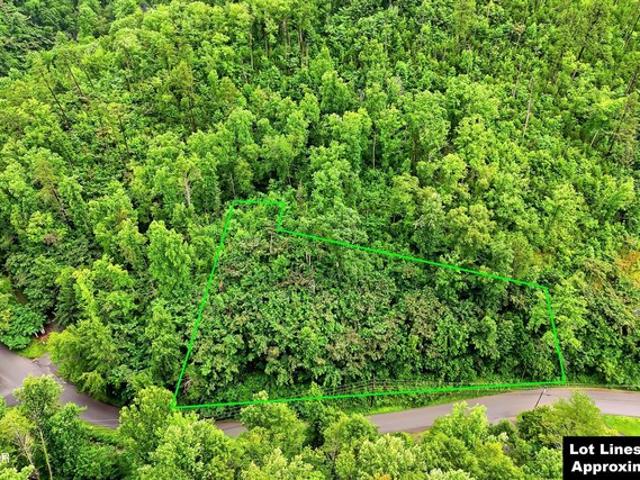 Land for sale in Tennessee