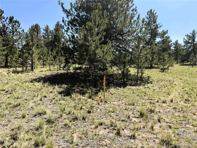 Land for sale in Hartsel, Colorado
