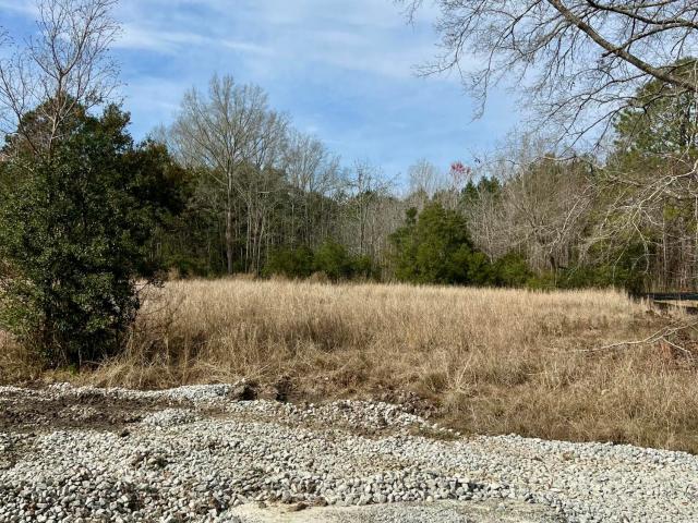 Land for sale in Yemassee, South Carolina