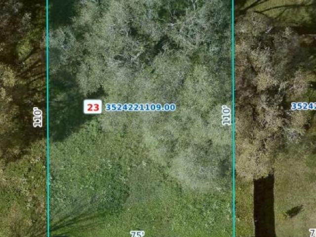 Land for sale in Amelia, Louisiana