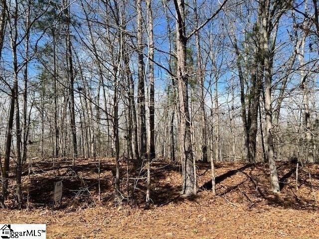 Land for sale in Pelzer, South Carolina