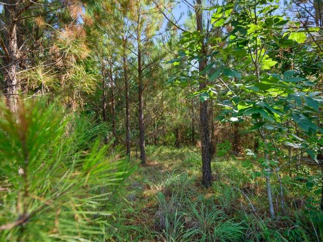Land for sale in Broken Bow, McCurtain County