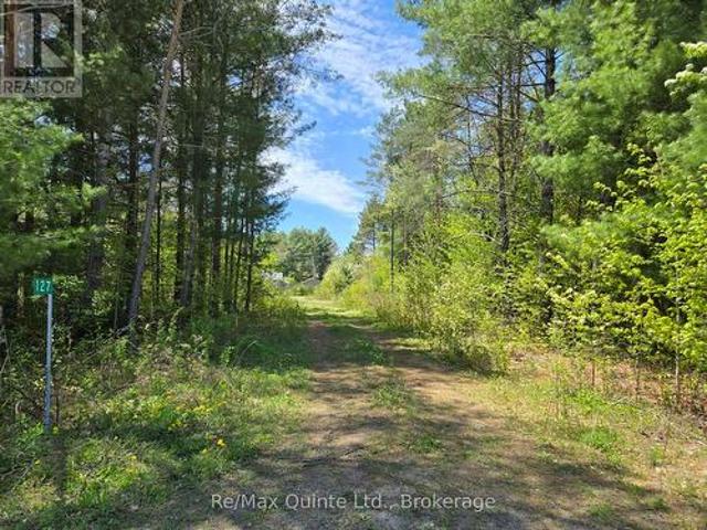 Land for sale in Addington Highlands, Ontario