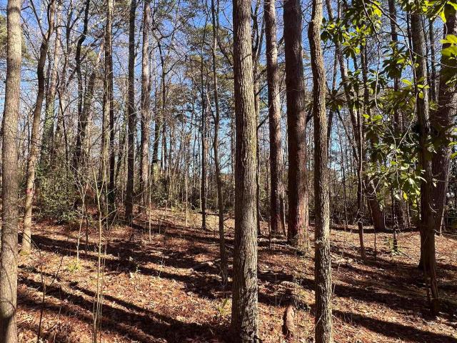Land for sale in Etowah, Alabama
