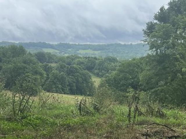 Farm for sale in Frankewing, Middle Tennessee