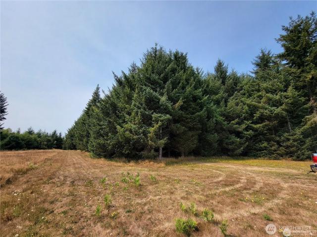 Land for sale in Port Angeles, Washington