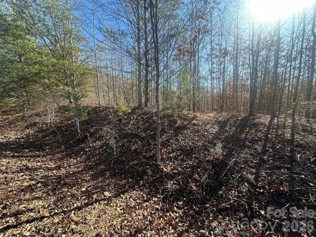 Land for sale in Rutherford, North Carolina