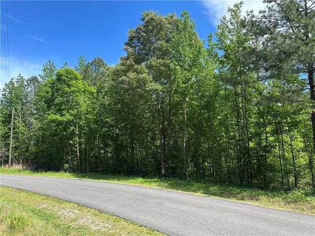Land for sale in Bartow, Georgia
