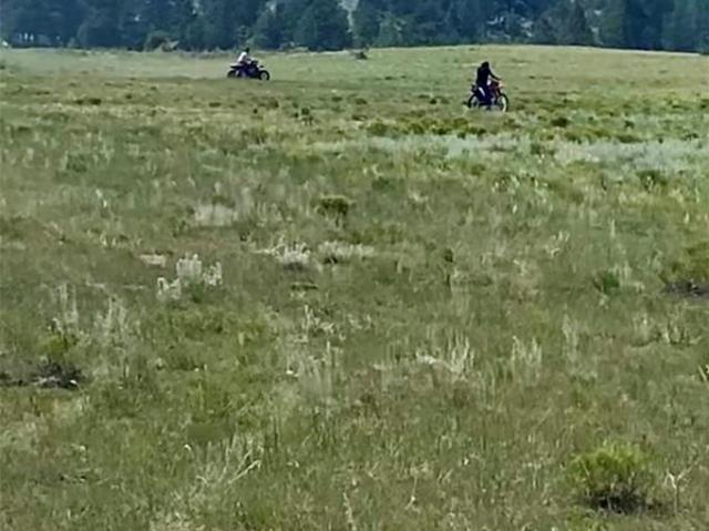 Land for sale in Hartsel, Park County