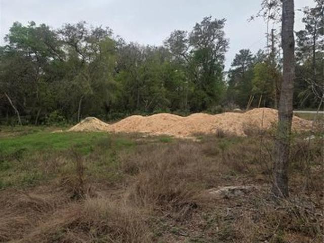 Land for sale in Ocklawaha, Florida