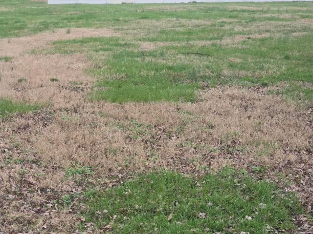Land for sale in Lynnville, Indiana