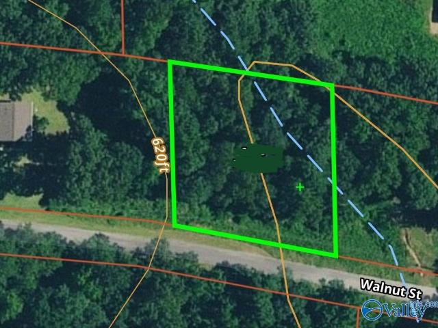Land for sale in Hamilton, Alabama