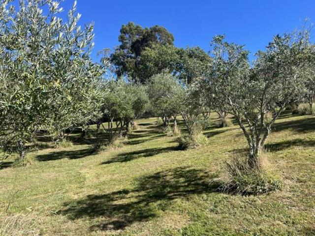Land for sale in Cable Bay, Nelson Bays
