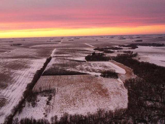 Land for sale in Vernon Center, Minnesota