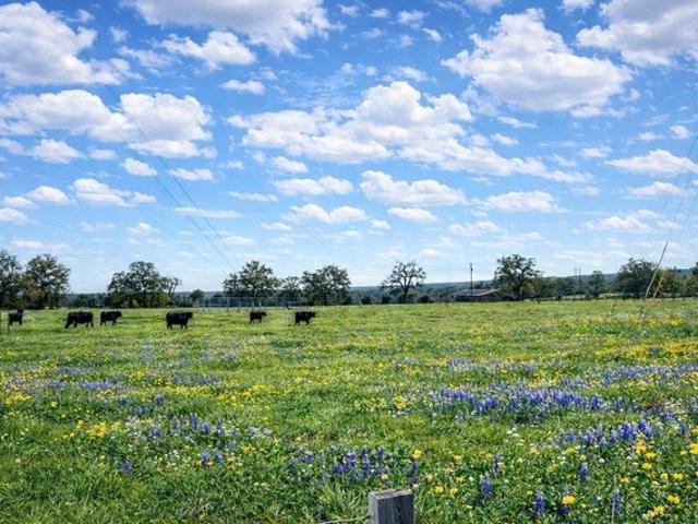 Farm for sale in Leon, Texas