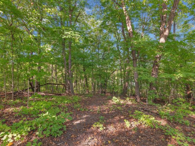 Land for sale in Minnesota