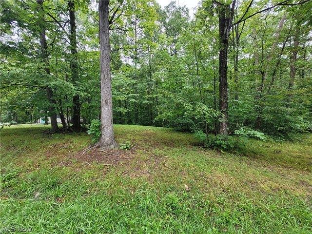 Land for sale in West Salem, Ohio