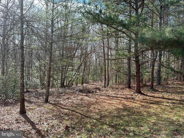 Land for sale in Solomons, Maryland