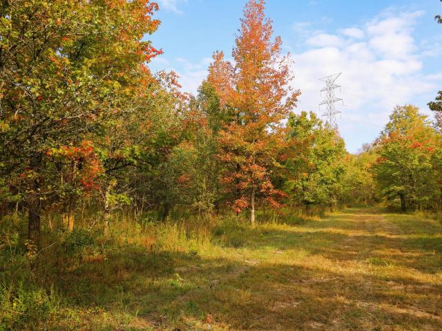 Land for sale in Tennessee