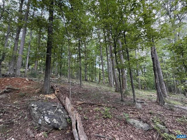 Land for sale in Virginia