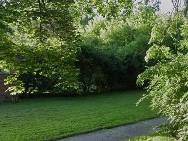 Land for sale in Detroit, Michigan