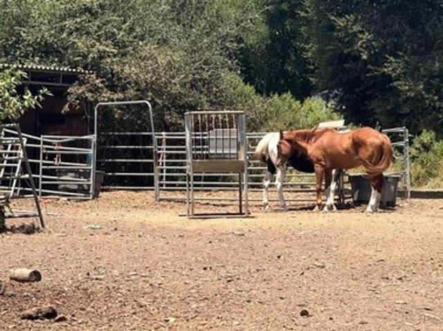 House for sale in Glen Ellen, California