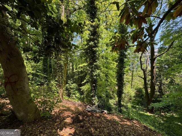 Land for sale in Atlanta, Georgia