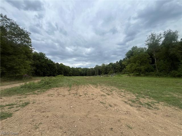 House for sale in Blue Rock, Ohio