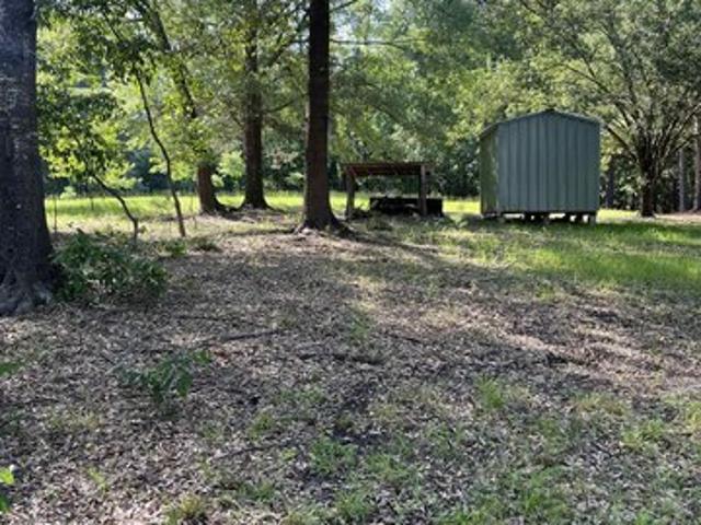 Land for sale in Avinger, Texas
