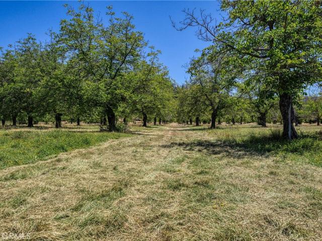 Land for sale in Lake, California