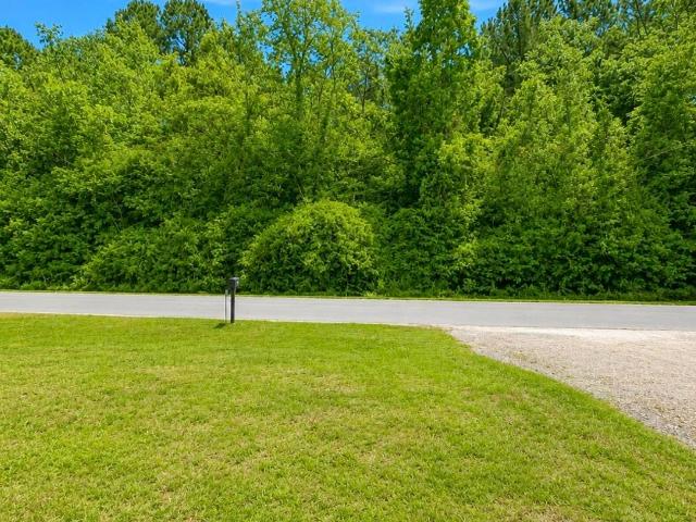 Land for sale in Denmark, South Carolina
