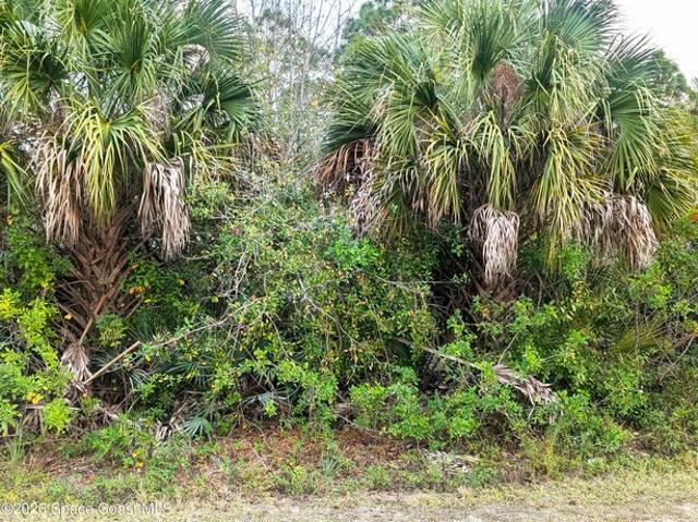 Land for sale in Fellsmere, Florida