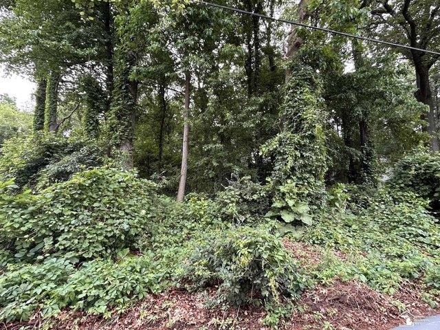 Land for sale in Brooklyn, Michigan