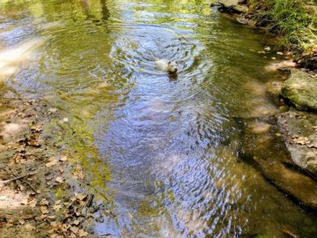 Land for sale in Grimes, Texas