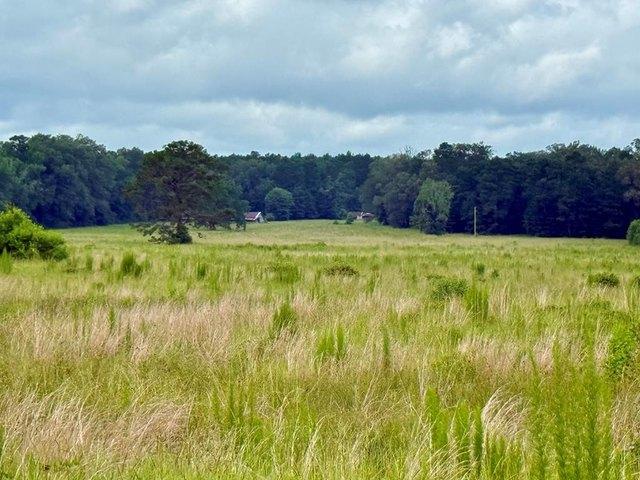 Land for sale in Sabine, Texas