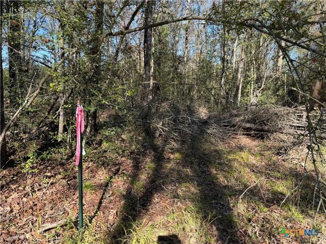 Land for sale in Fairfield, Freestone County