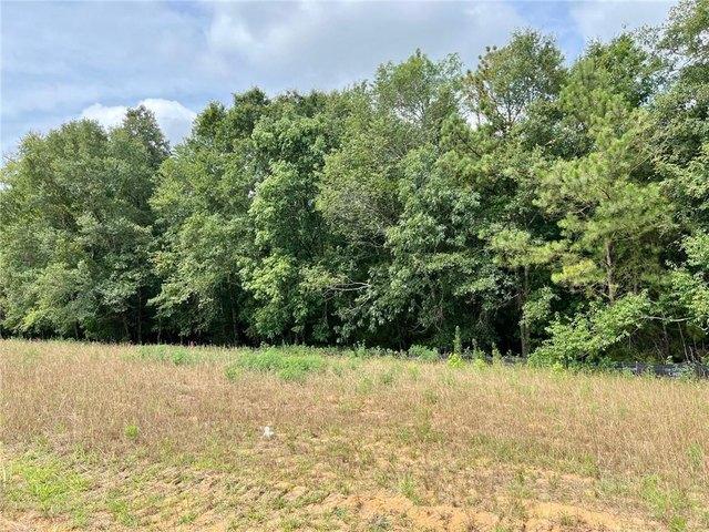 Land for sale in Bartow, Georgia